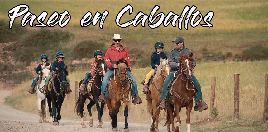 Paseo En Caballos