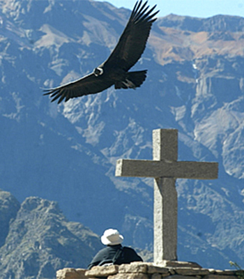 Cañon del colca